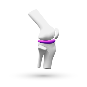 Ikona za terapijsko područje bol i osteoartritisa